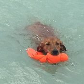 Kevin's photo