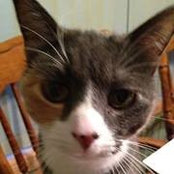 Michelle Johnson's photo