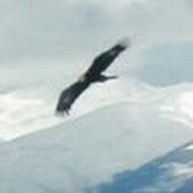 Marcelo Huezo's photo