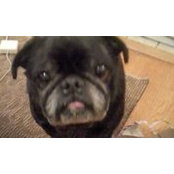 Starle Westcott's photo