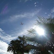 Max Dam's photo