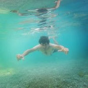 Foto von David Occhiuto