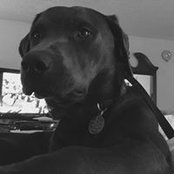 Lisa Brannon's photo