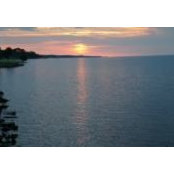 Kim Balark's photo