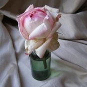 Алина Соколова's photo