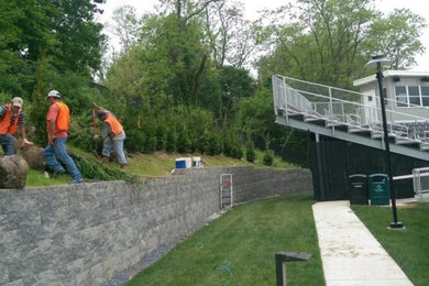 UMD Towson Ballfield - Living Fence on top of retaining wall
