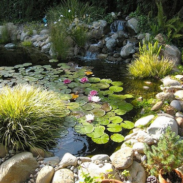 PONDS & WATER FEATURES