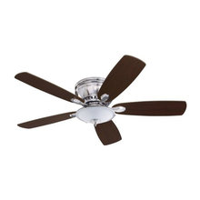 Fans