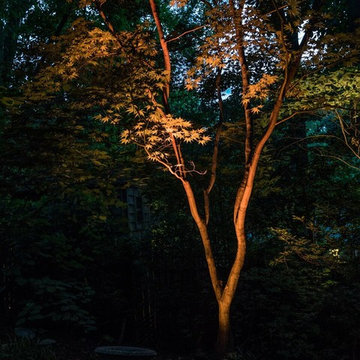 Arlington, VA