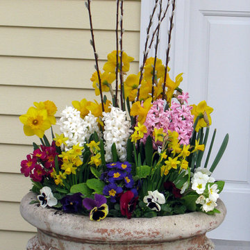 Planter & Container Garden Design - Fairfield County, CT
