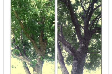 Tree Care