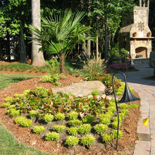 Landscape Architects