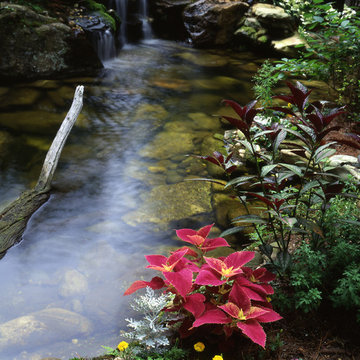 Lost Trail Landscape Design, Build, with Water Feature (Fountain/Pond)