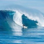 Sean Riedl's photo