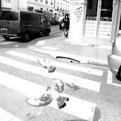 Virginie Bordes's photo
