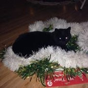 Dawn Eppler's photo
