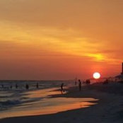 sandi harrisons foto