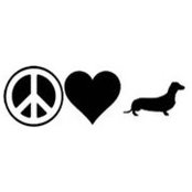 Debbie Littman's photo
