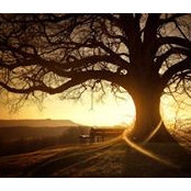 Toni McGowan's photo