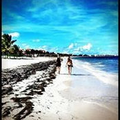 Alexa Manginelli's photo