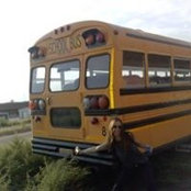 Nicole Rohling's photo