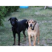 Joanna Moore Flanagan's photo