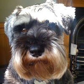 Jared Bollington's photo