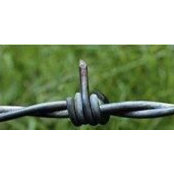 Ricky Mork's photo