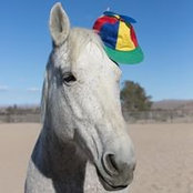 Deborah Storch's photo