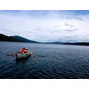 Pia Faxon's photo
