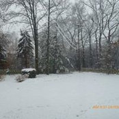 Margaret Heller's photo