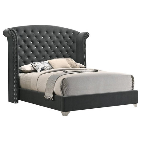 Coaster Melody Queen Wingback Velvet Upholstered Bed in Gray