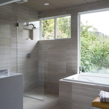 NorCal Eichler Renovation