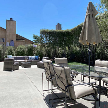 Classic Modern in Carpinteria