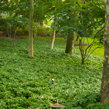 Traditional Estate - Rydal Landscape Lighting