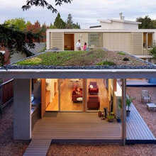 Green Roof