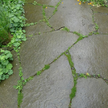 Romanelli Garden