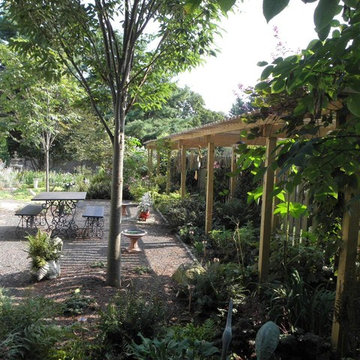 Backyard Wood Pergola