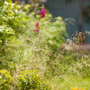 Family Garden Lewisham
