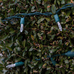 Marietta, GA Christmas Lighting Project String Lights - Holiday Lighting
