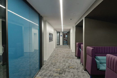 Inspiration for a modern hallway remodel in Other