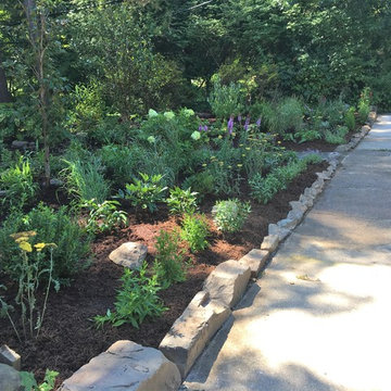 Front yard garden and walkway