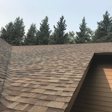 Shingle Roofing