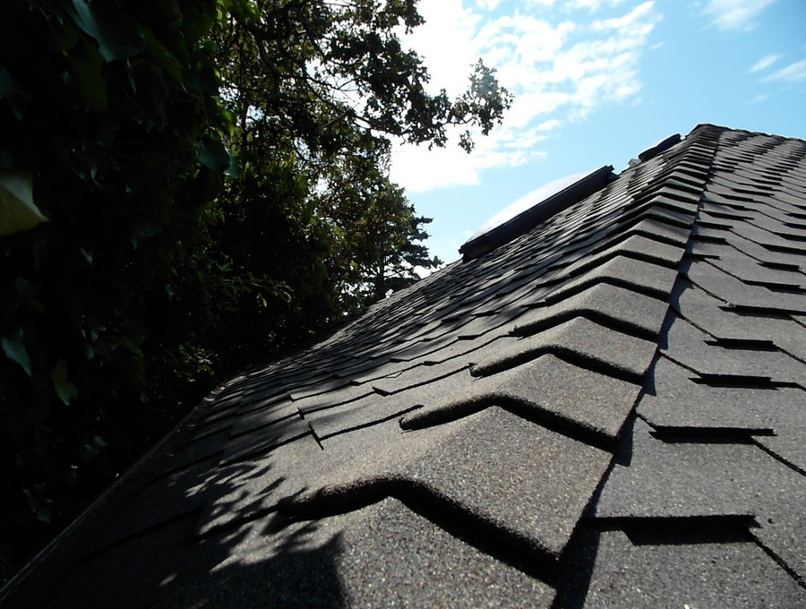 Specialty Shingle Roofs
