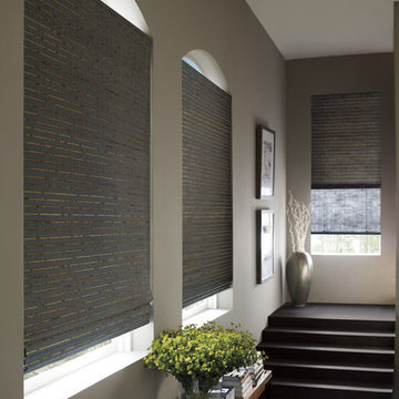 Hunter Douglas Power View Motorization Specialists