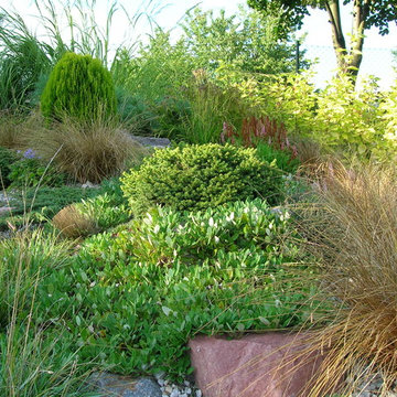 Modernistic Garden