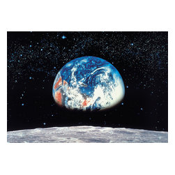 American Wallpaper & Design - Earth From The Moon Mural Wallpaper - Wall Decals