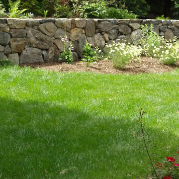 Landscape Gallery