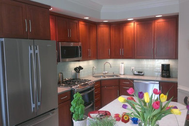 Inspiration for a transitional kitchen remodel in DC Metro