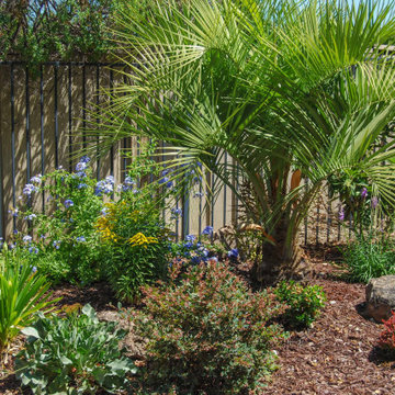 Backyard privacy landscaping